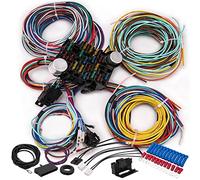 21 Circuit Wiring Harness Kit Universal Extra Long Wires 21 Circuit Harness for Ford Chevy Chrysler Mopar Hotrods Ratrods - 21 Circuit Wire Harness by LOYPP