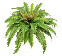 21" Ferns with Vase Stand, Artificial Plants in Pots for Table Decorative Centerpiece, Artificial fern Arrangements for Anniversary Ceremony Party Birthday Event Aisle Home Decoration -BGJ