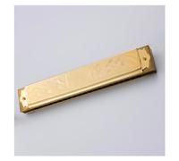 21-hole Professional Polyphonic Harmonica Standard Pitch Instrument Phosphor Bronze Alloy Gongs Harmonica Suitable For Beginners (Color : Bb)