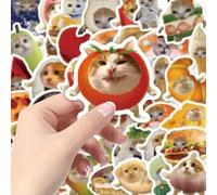 210 Funny Cat Food-Themed Memes & Silly Stickers Creative Cat-Shaped Stickers with Free Storage Box