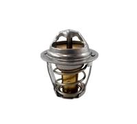 21040104001 Thermostat For Gpard UTV 800V Dmtor 800 RM Sts ATV 650 850 1306010010000 LU050000(1 PC)
