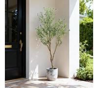 210cm Artificial Olive Tree with Fruits in Pot - Realistic Faux Olive Plant with Lifelike Leaves for Indoor & Outdoor, Large Fake Tree for Home, Office, Garden Decor