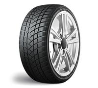 215/45R17 GT RADIAL WP2 SPT 91V XL TYRE
