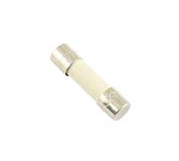 215 5x20mm Slow Blow Time-Lag Ceramic Cartridge Fuse 250V T 1.6A 2A 2.5A 3.15A 4A 5A 6.3A 8A 10A 12A 5Pcs(1.6A)