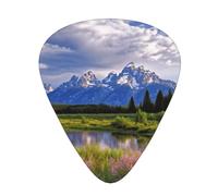 216 Pcs Guitar Picks Bulk 3 Different Thickness Personalized Guitar Plectrums With Storage Box Grand Teton National Park Guitar Accessories For Bass Electric Guitar Acoustic Guitar Lovers