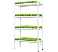 216 Sites Hydroponic Grow Kit - 4 Layer Hydroponics System with 24 Pipes & Water Pump for Growing Leafy Vetables, Fruits & Herbs - Indoor Garden Solut