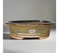 21Cm Glazed Bonsai Pot - Oval - 21Cm X 17Cm X 6Cm - Green