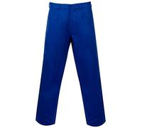 21Fashion Adults Full Length Plain Front Pocket Trouser Mens Heavy Duty Working Wear Pants (Royal Blue Waist 28/ Long)