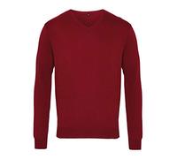 21Fashion Adults Plain Long Sleeves V Neck Knitted Sweater Mens Casual Winter Wear Jumper (Burgundy 4X Large)