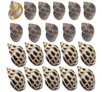 21PCS Hermit Crab Shells Natural Sea Conch Size 1.2" - 2.8" Turbo Seashells for Small Medium and Large Crabs Hermit Crab Accessories