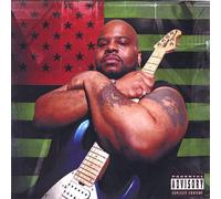 21st Century South Bronx Rock Star