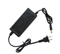 21V2A Lithium Battery Charger Fast Charger,Lithium Tool Replacement Battery Quick Charger for Weed Wacker/Weed Eater/Cordless Brush Cutter/Mini Chainsaws/Car Wash Water Gun/Leaf Blow