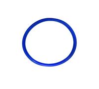 22# 23L Autoclave door gasket sterlization for seal replacement Chamber