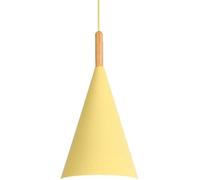 22 cm Iron Pendant Lamp with Ash Metal Chandelier - Industrial Scandinavian