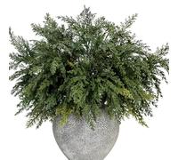 22 Inch Long Artificial Cedar Pine Branches Real Touch Pack of 5 Christmas Greenery Stems Faux Cypress Picks Cedar Tree Leaves Sprigs for Vase Fillers Winter Holiday Home Decoration (5, Green)