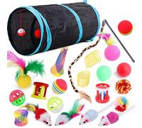 22 Pcs Cat Toys Interactive for Indoor Cats Tunnel Mouse Kitten Toys Cat Feather Teaser Wand Spring Toy