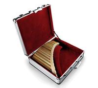 22 Pipes C Key Pan Flute Chinese Traditional Musical Instrument Pan Pipes Easy to Learn (Pan Flute with Right Box)