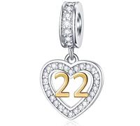22 Years Old Birthday Charms fit Pandora DIY Bracelet, 18K Golden Number 22 Dangle, 925 Sterling Silver 22nd Anniversary Heart Necklace Beads with CZ, Gifts for Auntie/Stepsister/Stepson