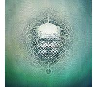 22 - You Are Creating: Limb1 [VINYL]