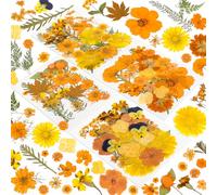 220 Pcs Dried Pressed Flowers for Resin Crafts, Real Natural Pressed Flowers and Leaves, Vacuum Sealed Dry Flowers for Epoxy Resin Jewelry Making, Candle & Soap Making, Nail Art (Autumn)