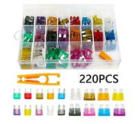 220Pcs/Set 5A 10A 15A 20A 25A 30A 35A Car Fuse Auto Insert Auto Car Truck Automobile Safety Pipe Lamp Fuse Safety Pipe Protected circuits
