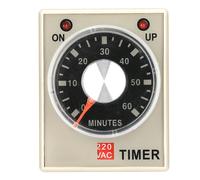 220VAC 60 Minutes Power On Delay Timer Time Relay
