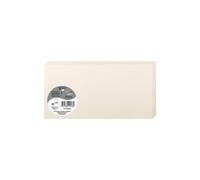 Clairefontaine 22586C Iridescent Cream paper Pack of 25 Double Cards DL (10.6x21.3cm) 210gsm Invitation and Correspondence Pollen range Smooth Premium