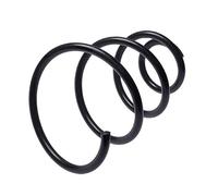 22910153 Front Coil Spring Single Suspension Replacement Spare Part By Sachs