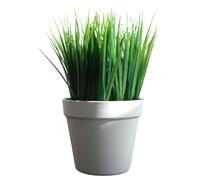 22cm Artificial Grass Plant