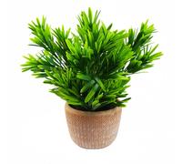 Leaf 22Cm Foliage Honey Plant Dark Green In Terracotta Pot, Green