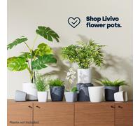 LIVIVO 22CM Round Plastic Flowerpot Plant Pot with Speckled Sandstone Effect for Indoor & Outdoor use including Kitchen Living Room Hallway Garden Patio Entrance Balcony Window - SET OF 2 (White)