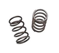 22LBS Valves Springs for Honda GX120/GX200/Clone/Predator 2 PCS