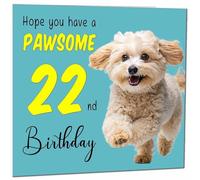 22nd Birthday Card for Men Women Dog Pawsome Birthday Card for 22 Year old Girl Daughter Friend Granddaughter Sister Twenty Two, Twenty Second Niece cousin