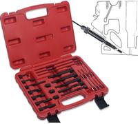 22PCS Glow Plug Removal Tool Kit Glow Plug Removal Puller, Glow Plug Extraction Kit, Glow Plug Electrodes Removing Tool for M8x1.0, M10x1.0, M10x1.25 Glow Plug - Red