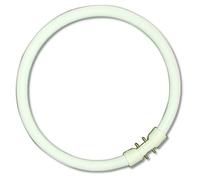 22w Circular lamp T5-2GX13-3000K Warm White - 225mm Round Fluorescent Tube