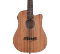 23" Acoustic-Electric Micro Bass with Gold Tone Bag