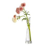 23CM Clear Glass Bud Flower Vase Thin Narrow Necked Single Stem Vases Small Decorative Glass Bottles Floral Table Centerpiece for Living Room Office Table Decorations