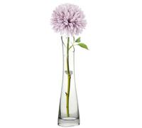 23cm Clear Slanted Glass Bud Vase, Single Stem Flower Vase with Thick Stable Base, Small Decorative Vase for Home Wedding