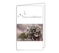 24-1006-B Sincere Sympathy Card with White Envelope 10 x 16.5 cm - Flower Hydrangea Seeds of Dandelion Modern Contemporary Design Clean Grey Pink Silver Shiny Mourning Death