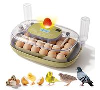24/48 Egg Incubators for Hatching Eggs, Incubator Home with Temperature Control Water Filling Automatic Turning,Poultry Incubator Incubato for Chicken, Quails, Ducks, Goose, Pigeon, Parrot