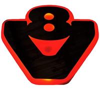 24/7Auto 24V LED silver matt plate sign V8 for Scania S R G P trucks red lighting 540 x 460 mm