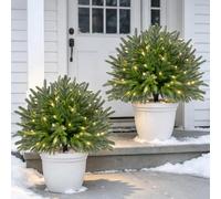 24" Artificial Norfolk Pine Garden Stake, Artificial Norfolk Topiary Tree with LED Lights, UV Resistant Norfolk Topiary Ball for Lawn, Garden, Yard, Pathway, Indoor & Outdoor Xmas Decor, 2-Pack