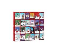 24 Day Sock Advent Calendar - 12 Pair Christmas Countdown Sock Set for Men & Women, Holiday Themed Stocking Gifts(D)