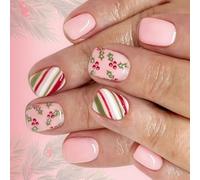 24 Divisions Holiday Fraudulent Hoofs Set Polystyrene Permanent Persist Designs with Celebratory Rose Stripings Ice Striped Christmas Tree Nails Reindeer Snowflake Design Quick Apply Christmas Travel