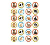 24 edible PRE CUT framed rabbit bunny bunnies and rabbits kids childrens party decorations Wafer Paper Cupcake Topper Cake