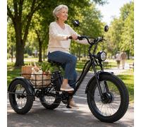 24" Fat Tire 3 Wheel Ebike, Electric Tricycle for Adults, 48V 18Ah Removable Battery, 7 Speed Adult Electric Trike with 40 Miles Range, LCD Display, Large Basket for Shopping & Leisure(Black)