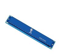 24 hole C key polyphonic harmonica for beginners to learn musical instruments(Blue)