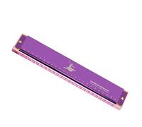 24 hole C key polyphonic harmonica for beginners to learn musical instruments(Purple)