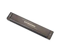 24 Holes 12 Tone Polyphonic C Key Harmonica, Stainless Steel Professional Mouth Organ Musical Instrument Christmas Gift Toy(Matte black)