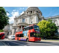 24-Hour Hop on Hop Off Bus Tour & Thames Cruise - For 1 Adult (Ages 16+)